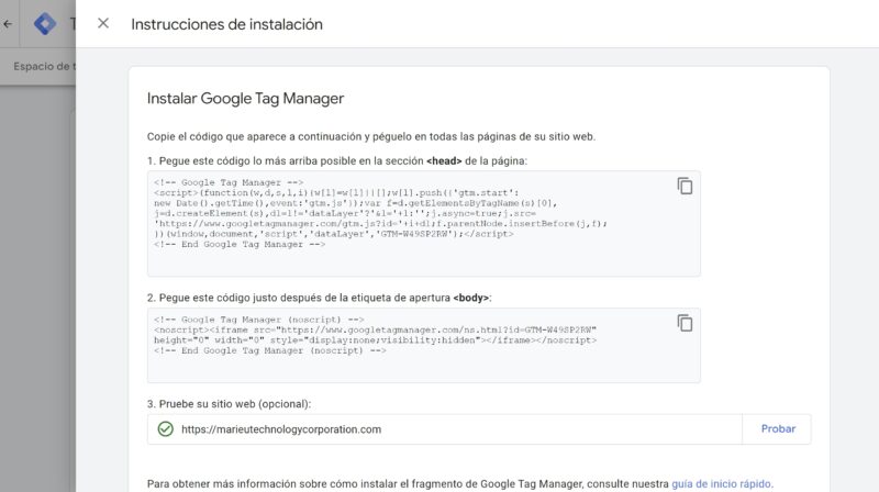 Google Tag Manager Installation Test.