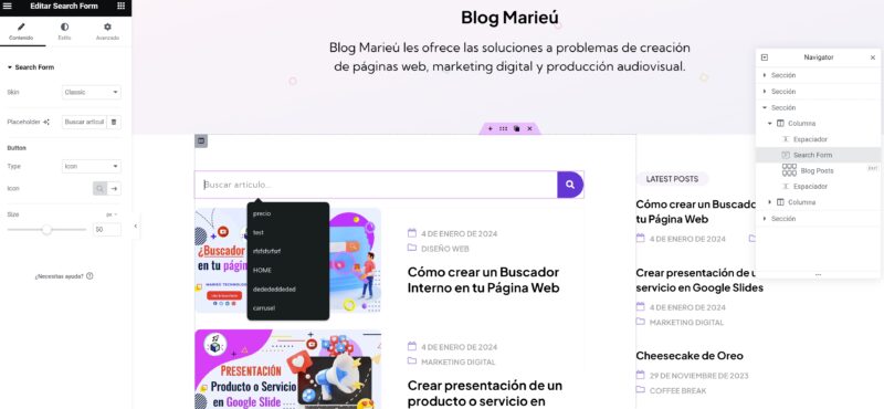 Buscador Interno Marieu Technology Coporation scaled